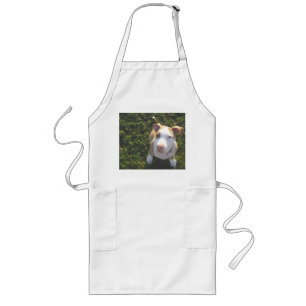 american PitBull terrier Looking Up Long Apron