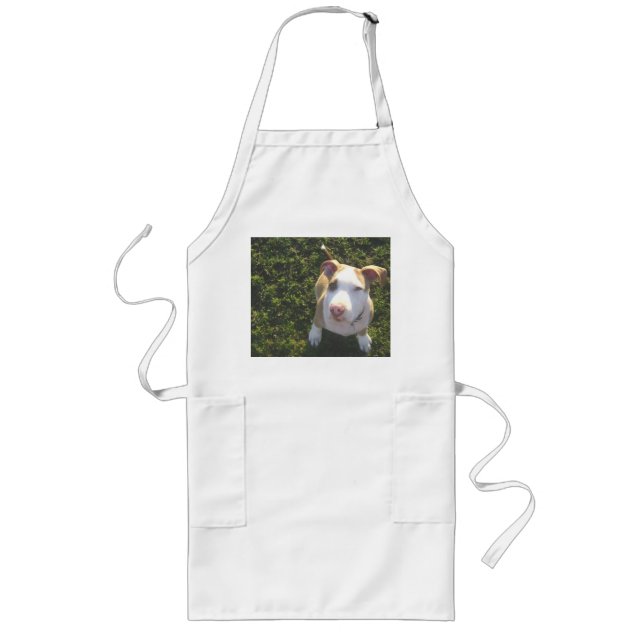 american PitBull terrier Looking Up Long Apron (Front)