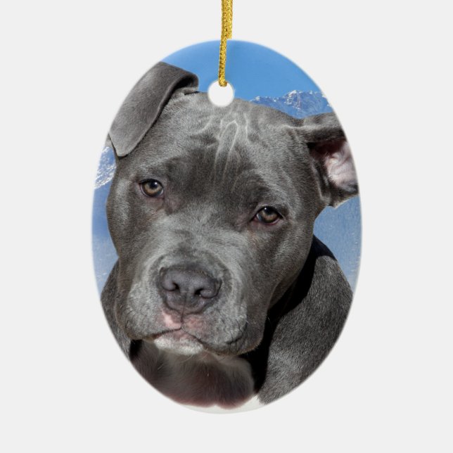 American Pitbull Terrier Puppy Dog Ceramic Ornament (Front)