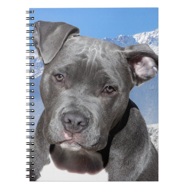 American Pitbull Terrier Puppy Dog Notebook (Front)