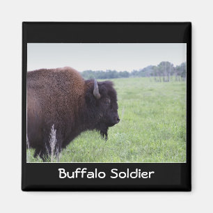 American Plains Buffalo Bison Magnet