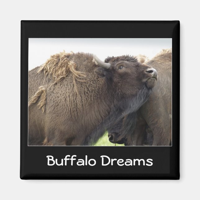 American Plains Buffalo Bison Magnet (Front)