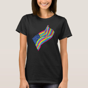 American Pride Lgbt Usa Pansexuality Flag Equality T-Shirt