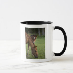 American Quarter horse mare and colt in field Mug