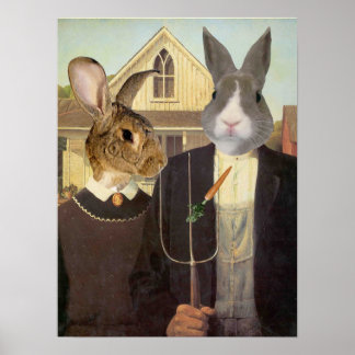 AMERICAN RABBIT POSTER