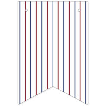 American Red and Blue Pinstripe Bunting Banner