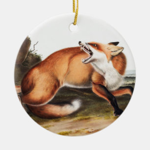 American Red Fox (Vulpes Fulvus) Illustration Ceramic Ornament