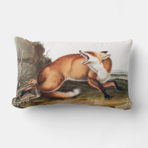 American Red Fox (Vulpes Fulvus) Illustration Lumbar Cushion