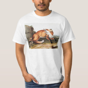 American Red Fox (Vulpes Fulvus) Illustration T-Shirt