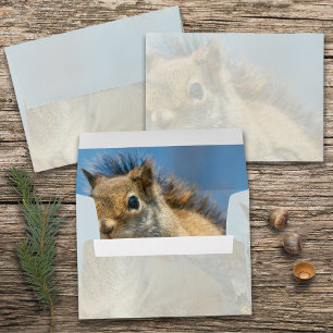 American Red Squirrel Envelope