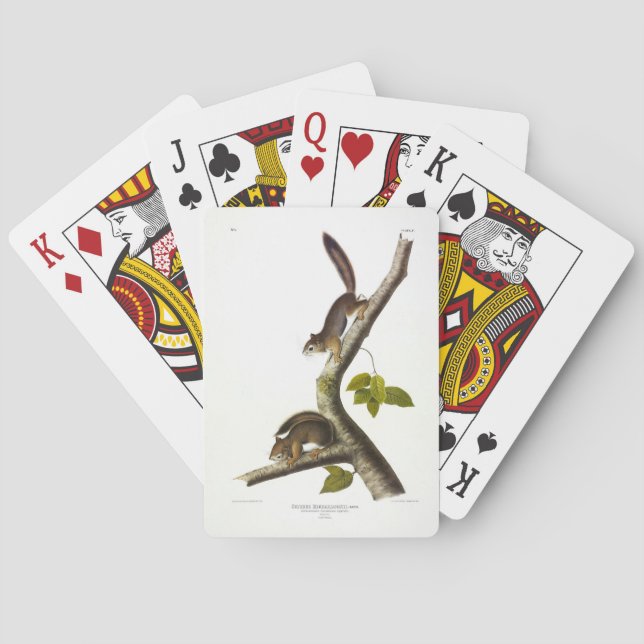American Red Squirrel (Richardson's Columbian) Playing Cards (Back)