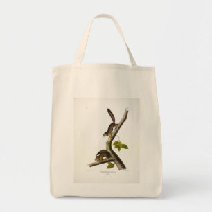 American Red Squirrel (Richardson's Columbian) Tote Bag