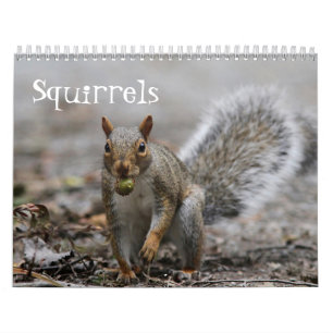 American Red Squirrels and Eastern Grey Squirrels Calendar