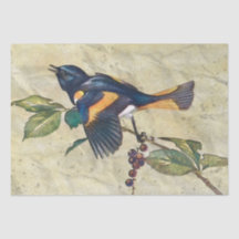 American Redstart Bird Decoupage Tissue Paper