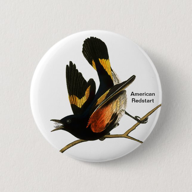 American Redstart by John James Audubon, Birder 6 Cm Round Badge (Front)