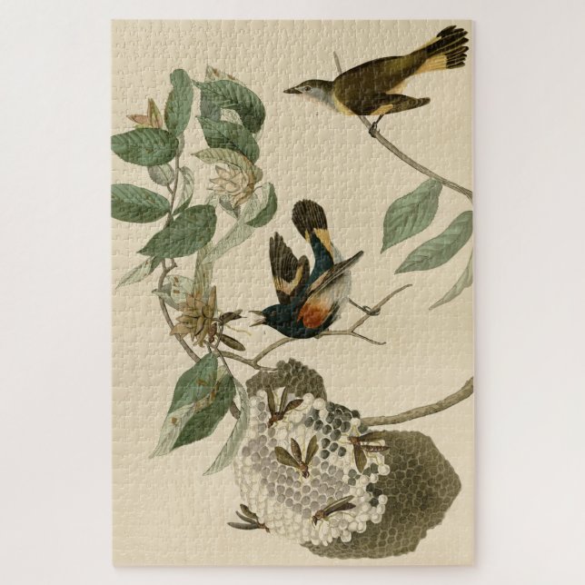 American Redstart from Audubon's Birds of America Jigsaw Puzzle (Vertical)