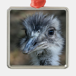 American Rhea Portrait Metal Tree Decoration