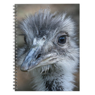 American Rhea Portrait Notebook