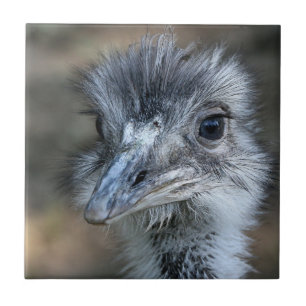 American Rhea Portrait Tile