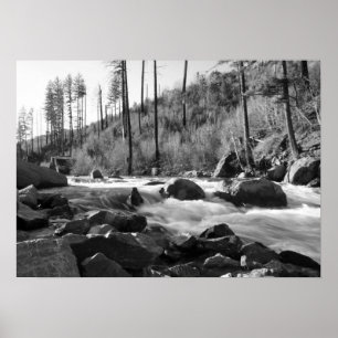"American River", Black & White Poster