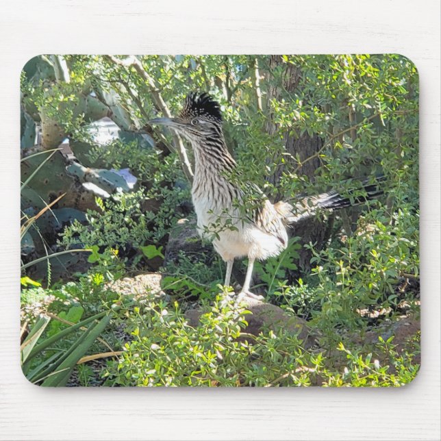 American Roadrunner in the Arizona Desert Mouse Pad (Front)