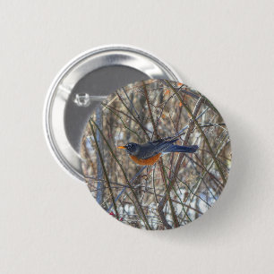 American Robin 6 Cm Round Badge
