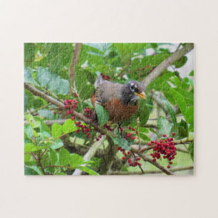 American Robin - Backyard Bird Series - Puzzle