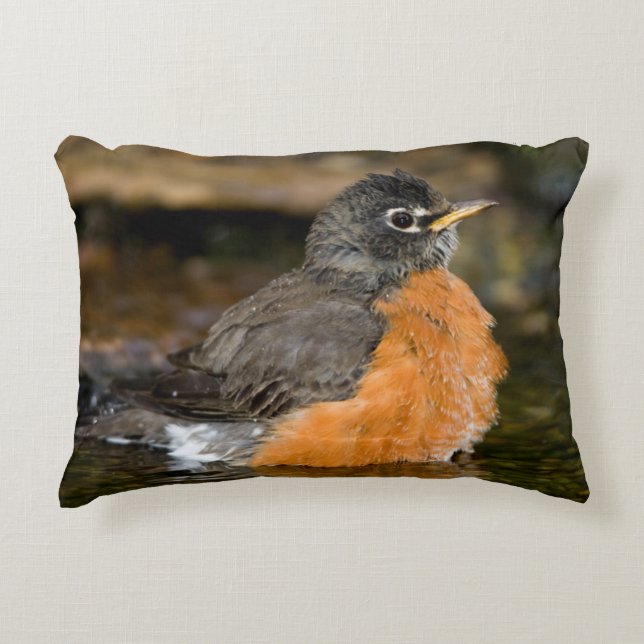American Robin bathing 2 Decorative Cushion (Front)