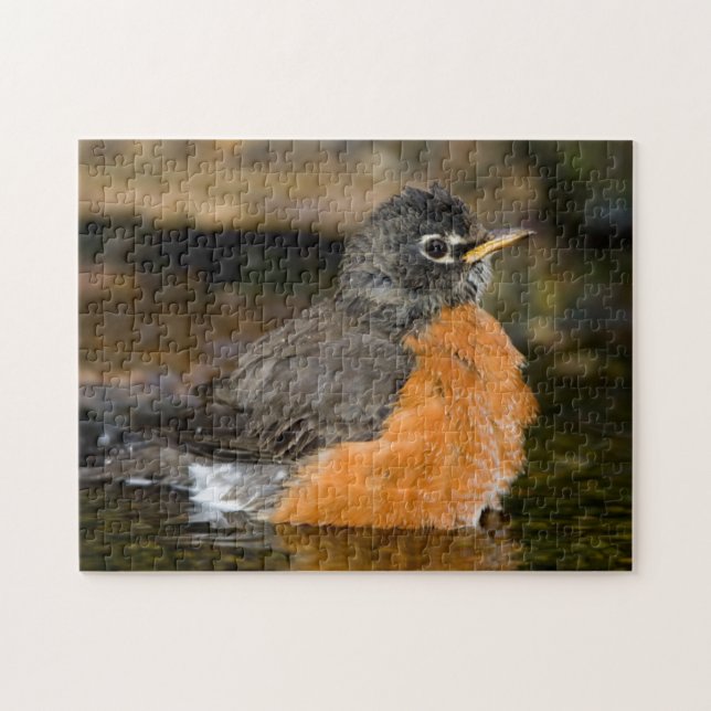 American Robin bathing 2 Jigsaw Puzzle (Horizontal)