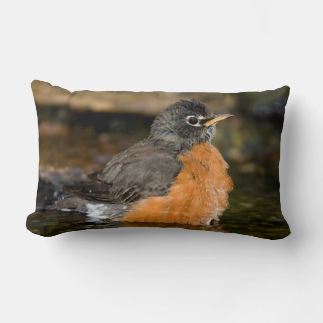American Robin bathing 2 Lumbar Cushion (Front)