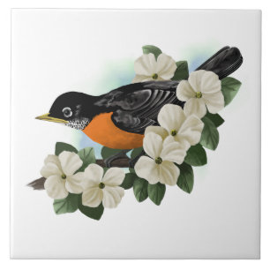 American Robin Bird Ceramic Tile