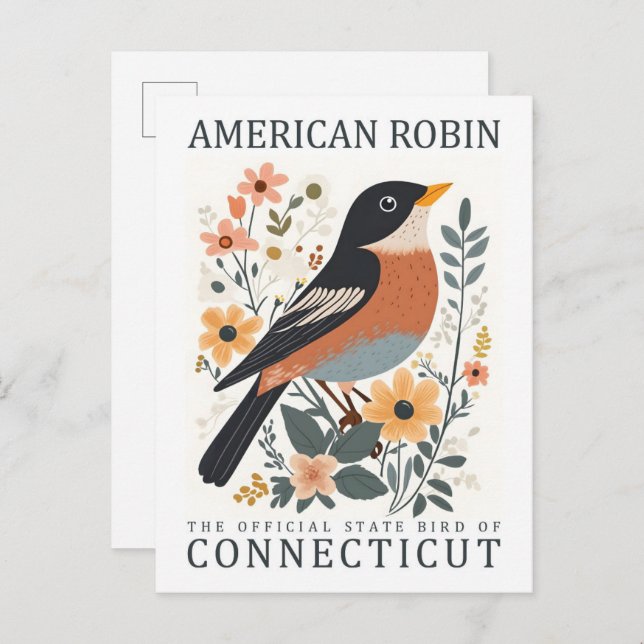 American Robin Bird of Connecticut USA Travel Postcard (Front/Back)