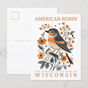 American Robin Bird of Wisconsin Travel Postcard