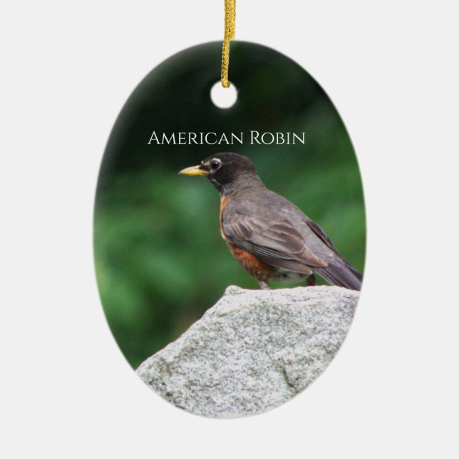 American Robin Bird Photo Ornament  (Front)