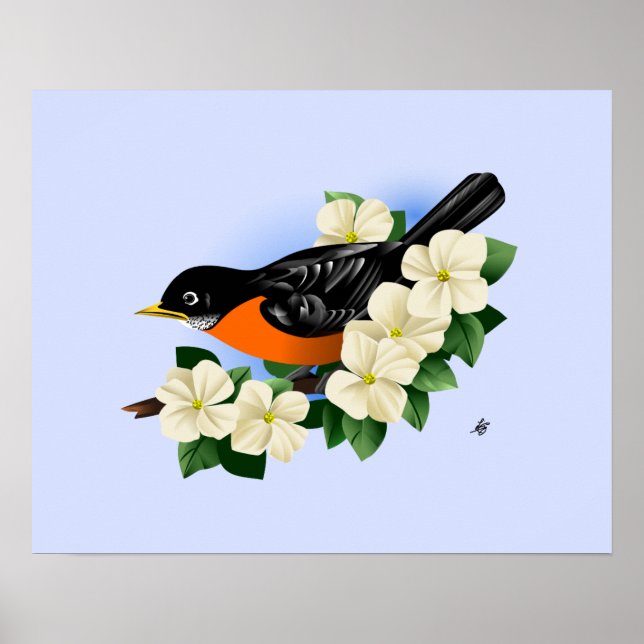 American Robin Bird Poster (Front)