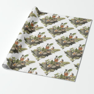 American Robin by Audubon Wrapping Paper
