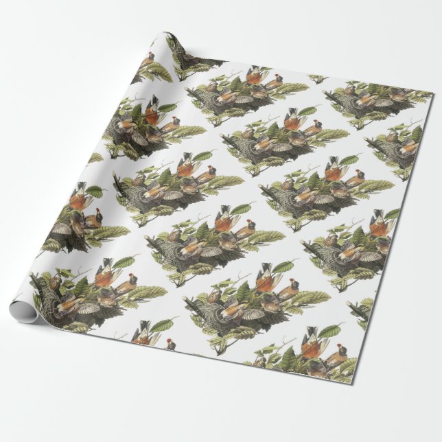 American Robin by Audubon Wrapping Paper (Unrolled)