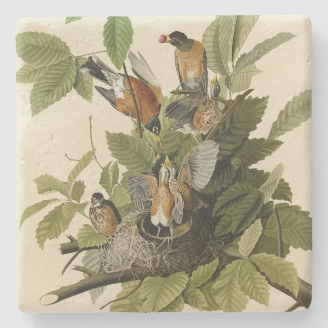 American Robin from Audubon's Birds of America Stone Coaster (Front)