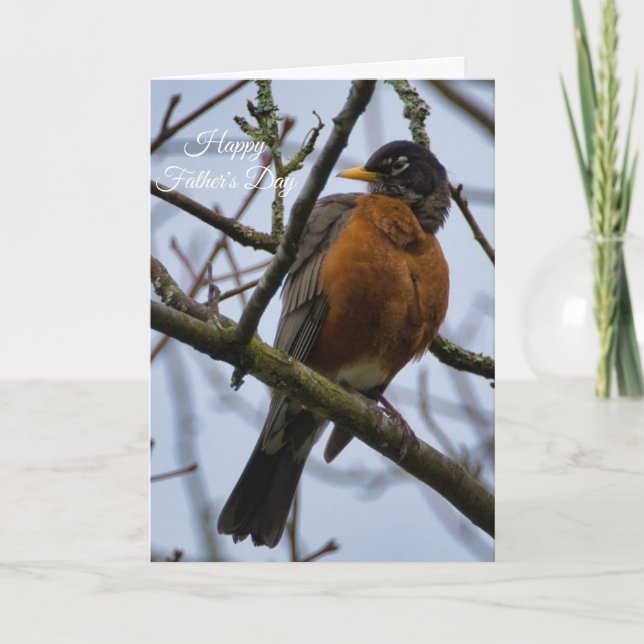  American Robin Happy Father's Day Card (Front)