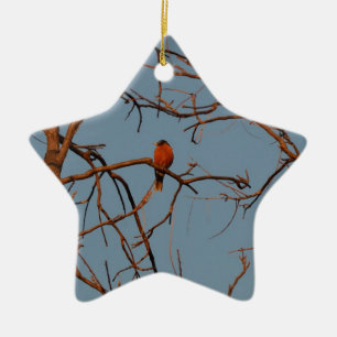American Robin home to roost Ceramic Ornament