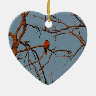 American Robin home to roost Ceramic Tree Decoration