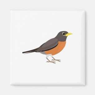 American Robin Illustration Magnet