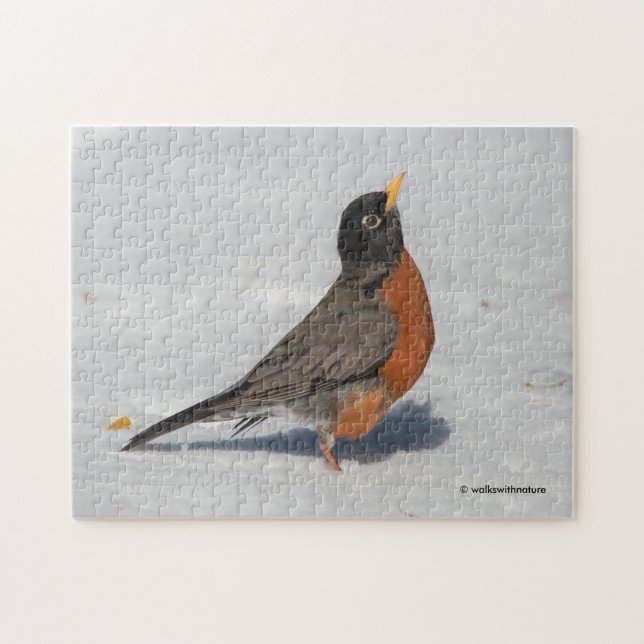 American Robin in the Snow Jigsaw Puzzle (Horizontal)