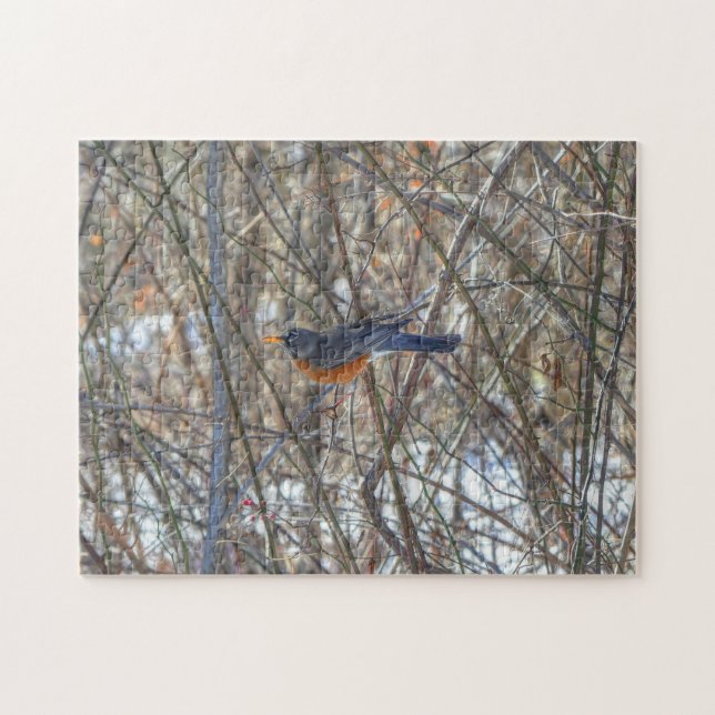 American Robin  Jigsaw Puzzle (Horizontal)