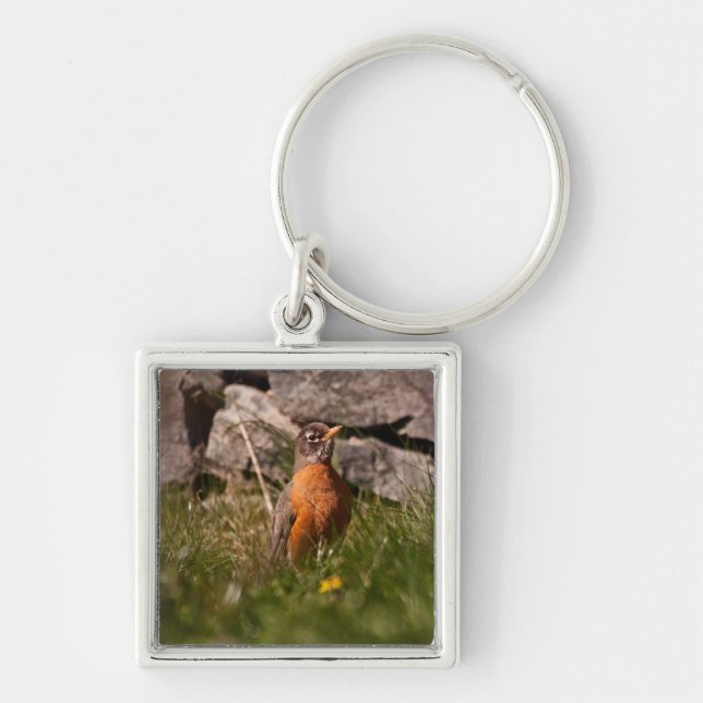 American Robin Key Ring (Front)