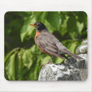 American Robin Perched on a rock Mouse Pad