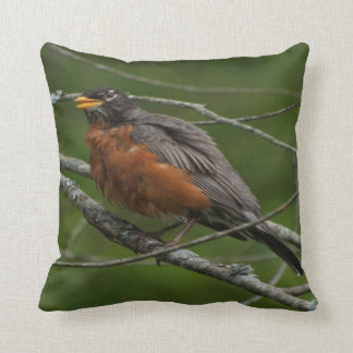 American Robin Photo #2 Cushion