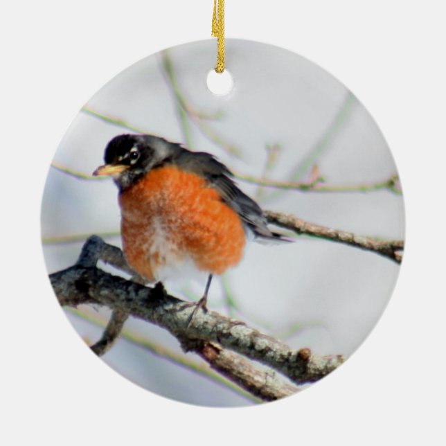 American robin photo ceramic tree decoration (Back)