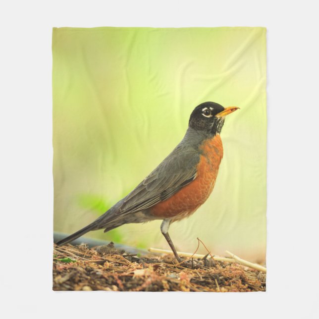 American Robin Photo Fleece Blanket (Front)