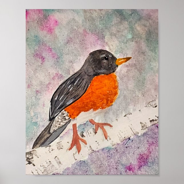 American Robin  Poster (Front)